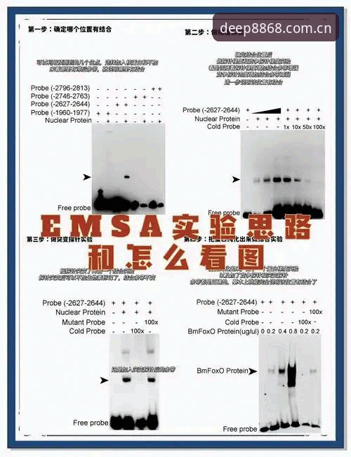深值信赖MSCA数据更新安装失败 深值信赖MSCA数据更新安装失败?从症状到根治的完整排查指南